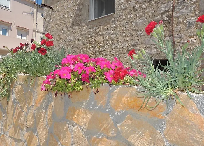 Mile Sveti Petar (Zadar)