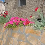 Mile سفيتي بيتار