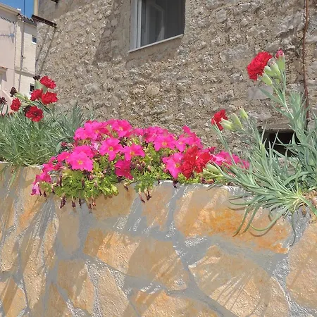 Mile Sveti Petar (Zadar)